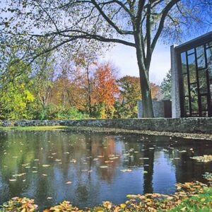 Brandeis University